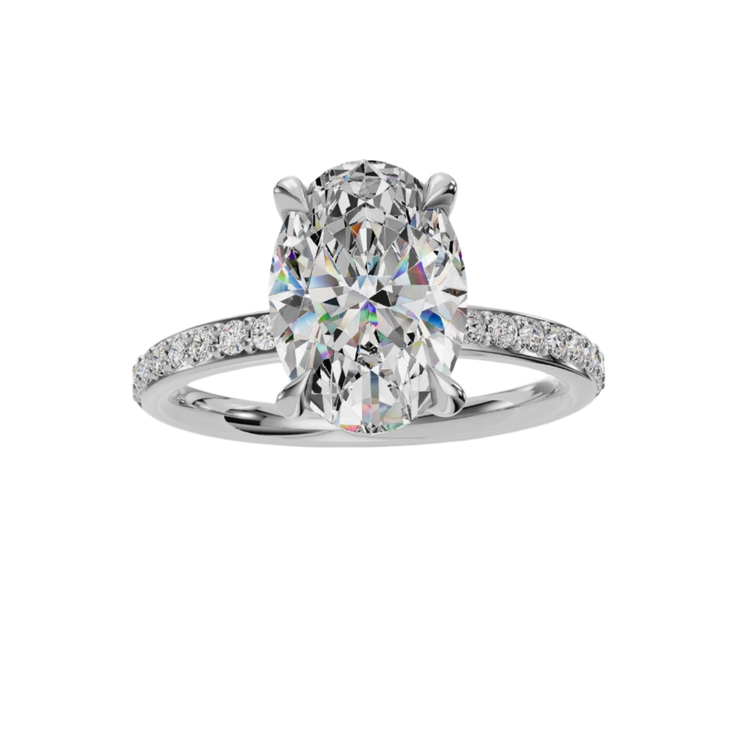 The Amelie - Pavé Band