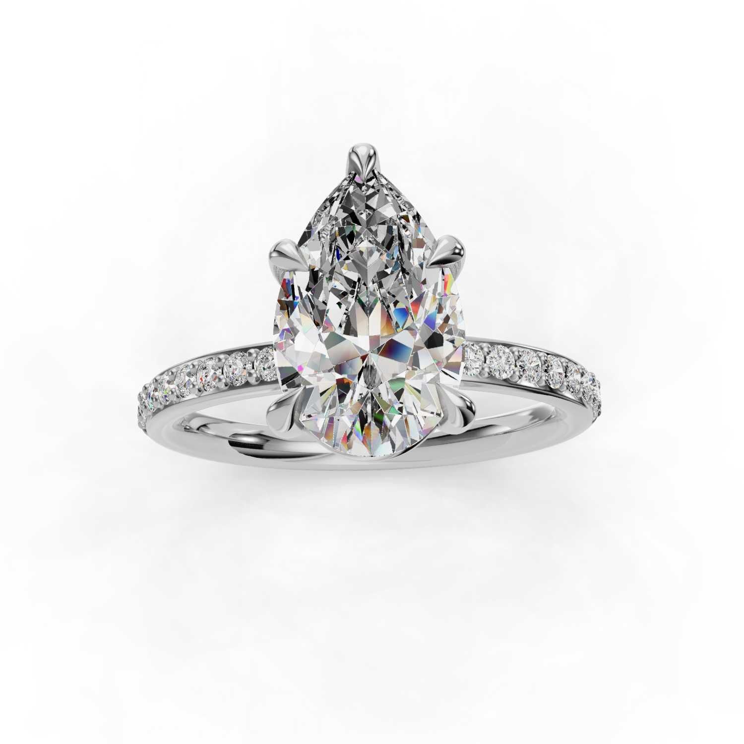 The Amelie - Pavé Band