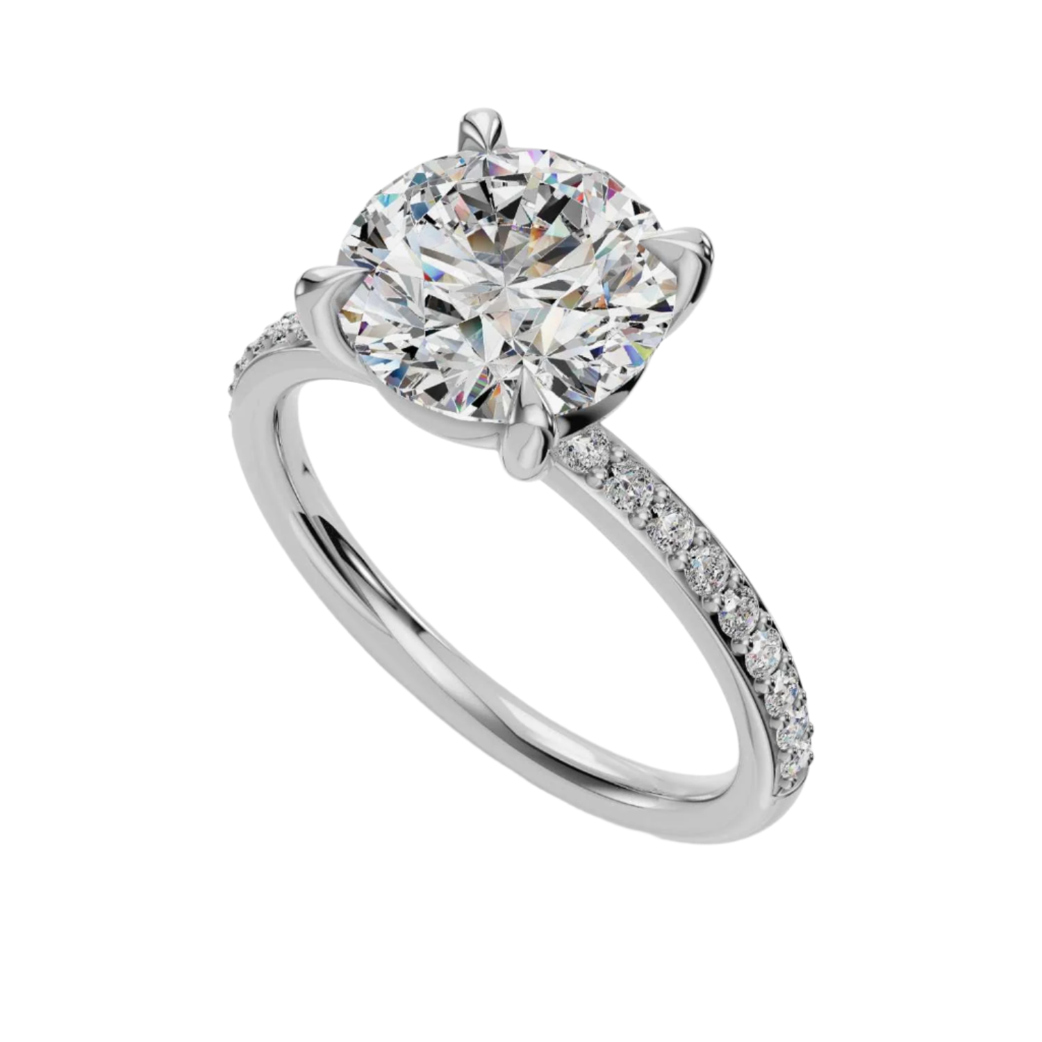 The Amelie - Pavé Band